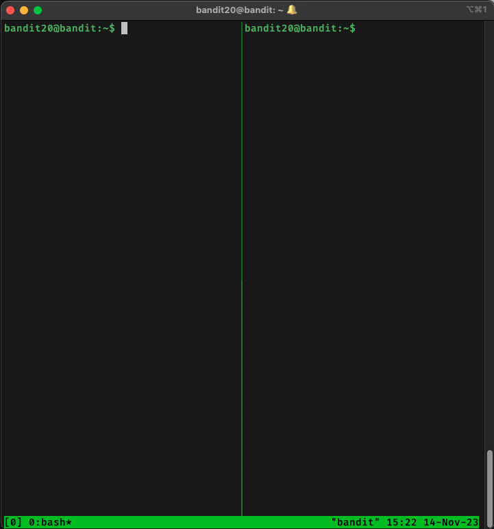 Double terminals using tmux